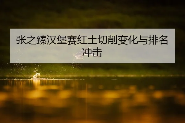 张之臻汉堡赛红土切削变化与排名冲击
