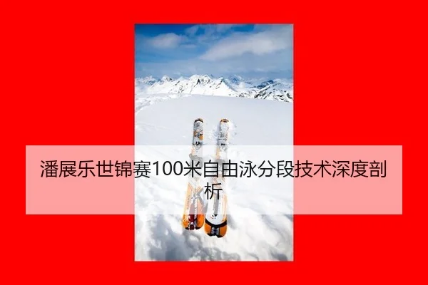 潘展乐世锦赛100米自由泳分段技术深度剖析