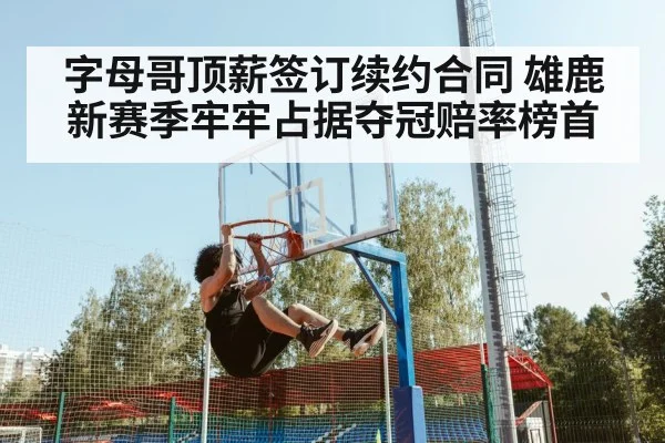 字母哥顶薪签订续约合同 雄鹿新赛季牢牢占据夺冠赔率榜首